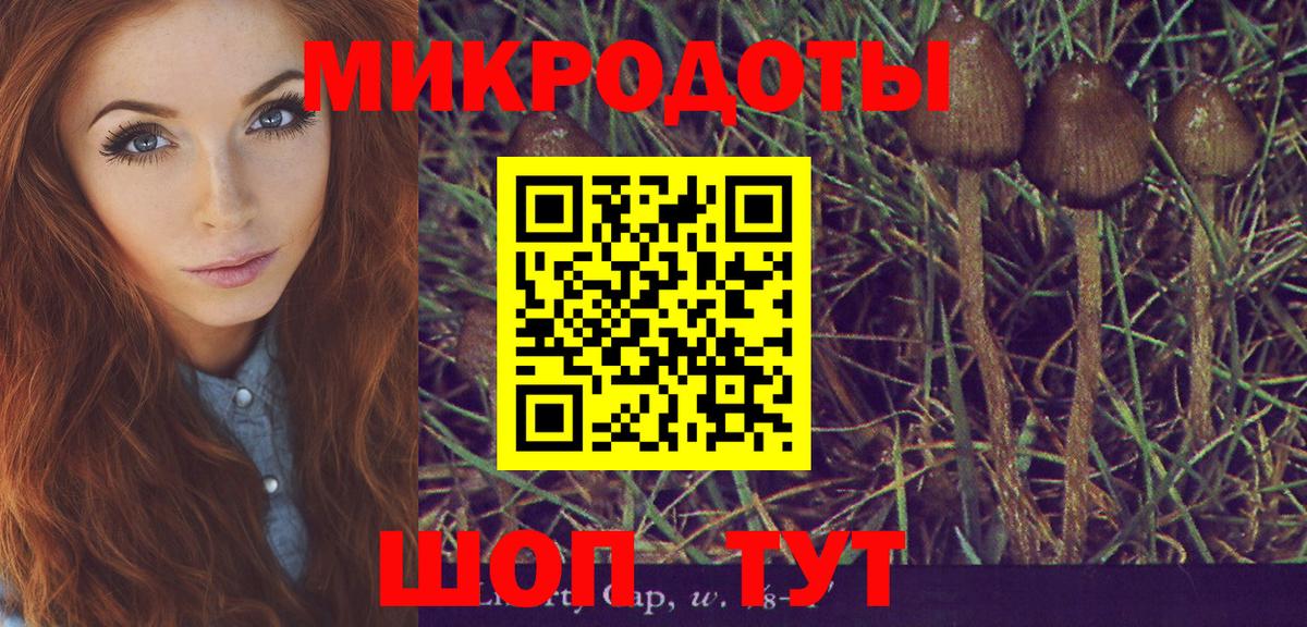 Псилоцибиновые грибы прущие грибы Знаменск